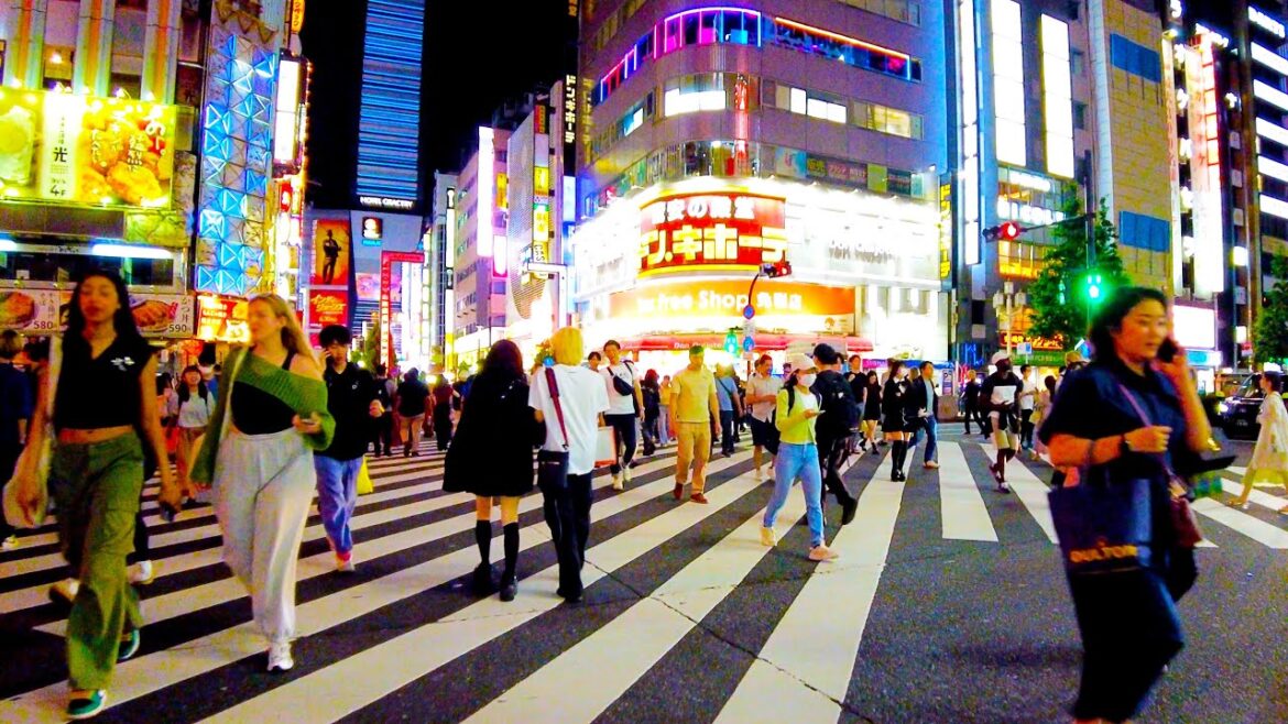 Shinjuku in Tokyo 🐶🍻 Last train! Midnight Kabukicho♪💖4K ASMR non-stop 1 hour 01 minutes Shinjuku in Tokyo 🐶🍻 Last train! Midnight Kabukicho♪💖4K ASMR non-stop 1 hour 01 minutes