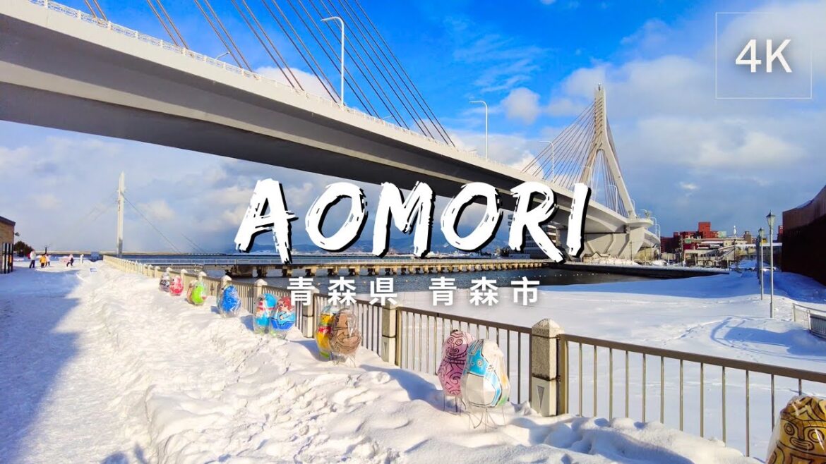 [4K] Aomori, Aomori Prefecture, Japan | Random Shots | 日本 青森県 青森市 | Feb 2023