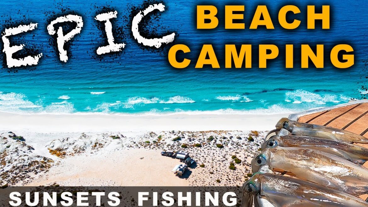 BEACH CAMPING|South Australia|Eyre Peninsula|caravanning australia BEACH CAMPING|South Australia|Eyre Peninsula|caravanning australia