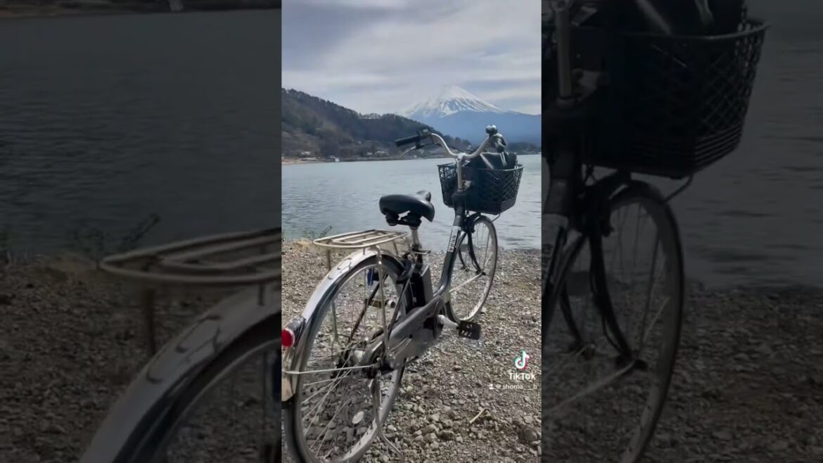 Renting bicyles near Mt. Fuji: Your Ultimate Guide for Cherry Blossom Season! | Kawaguchiko Renting bicyles near Mt. Fuji: Your Ultimate Guide for Cherry Blossom Season! | Kawaguchiko