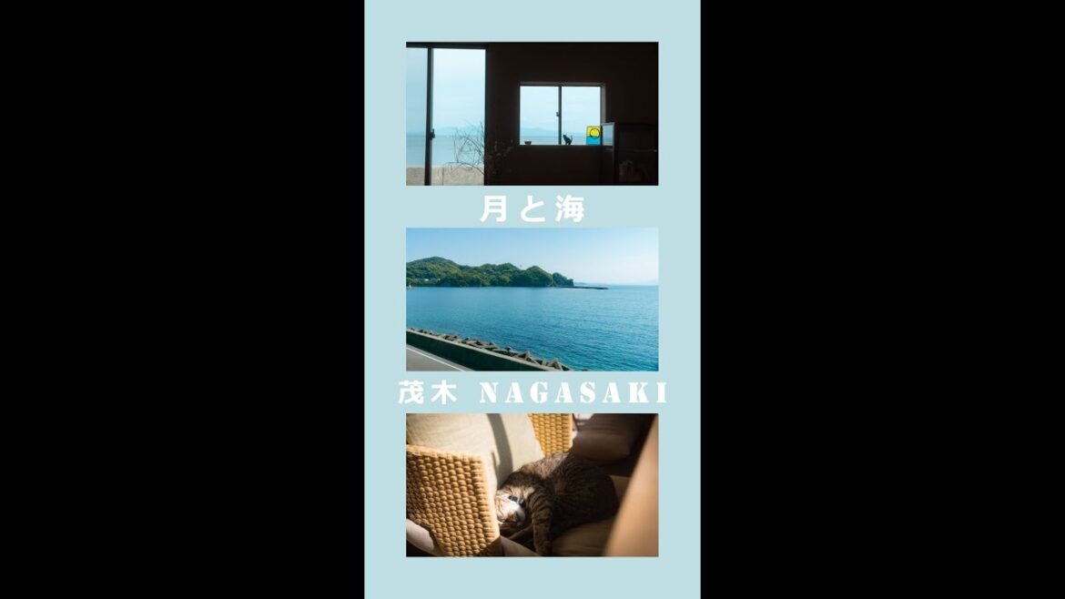 月と海_茂木 ～Nagasaki-Movie～4K_Vlog　#shorts