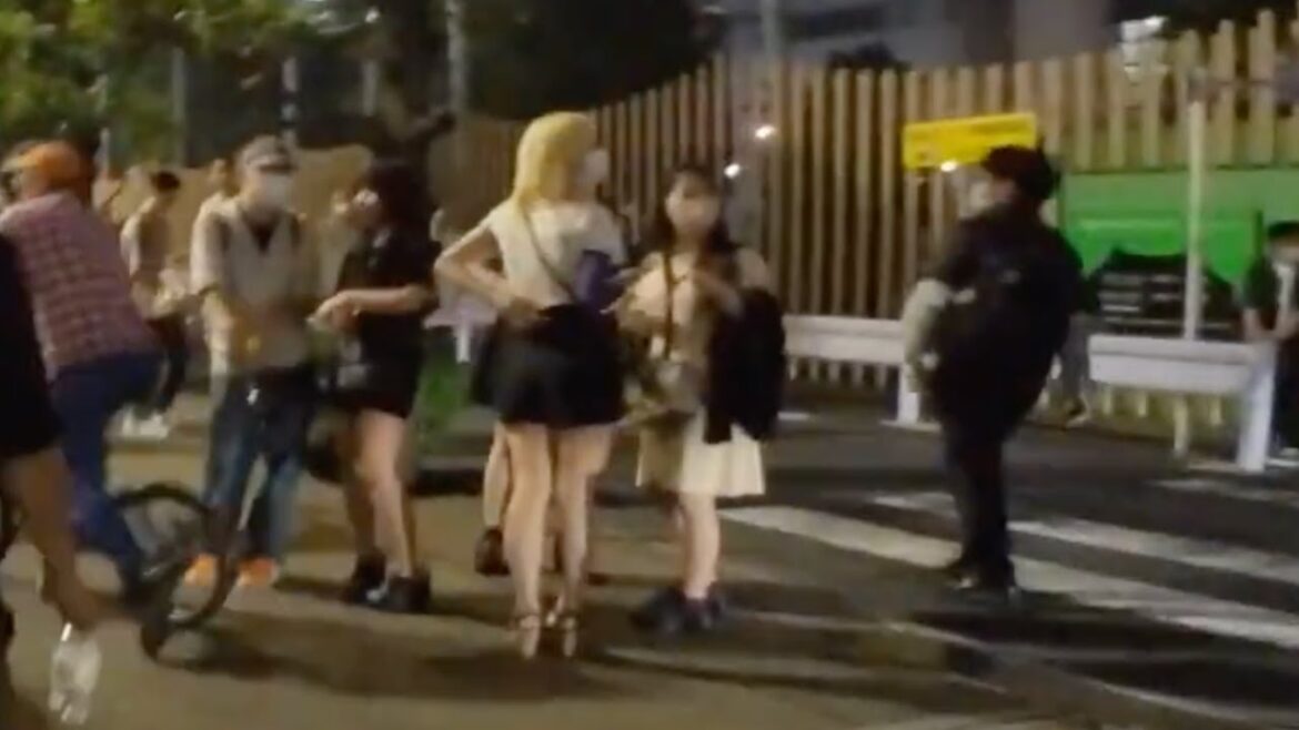 Japan Tokyo Walk Kabukicho at night, Red Light District, back alley in Shinjuku, Tokyo｜歌舞伎町 新宿 立ちんぼ