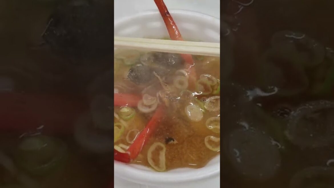 Japanese seafood Shop  Teradomari No1kakujoe Niigata Japan 新潟 寺泊 魚の市場通り　魚のアメ横 寺泊本店 角上魚類　part2