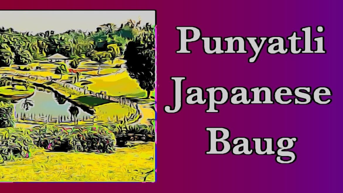 Punyatle Japanese Garden ⛩️ 🌲 🌳 🌴 #garden #pune #viralvideo #trending #puladeshpande @ekantrider Punyatle Japanese Garden ⛩️ 🌲 🌳 🌴 #garden #pune #viralvideo #trending #puladeshpande @ekantrider
