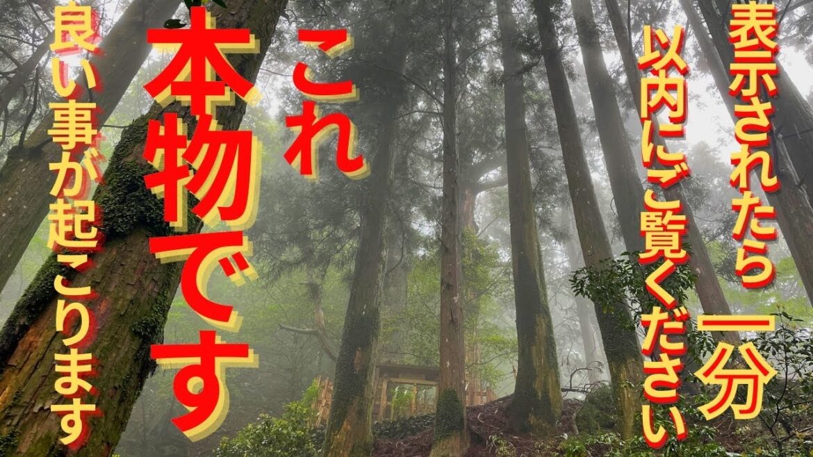 ⚠️神回※もし逃したら二度とありません※神様が降臨しました!最強パワースポット【玉置神社】奈良県十津川村 ⚠️神回※もし逃したら二度とありません※神様が降臨しました!最強パワースポット【玉置神社】奈良県十津川村