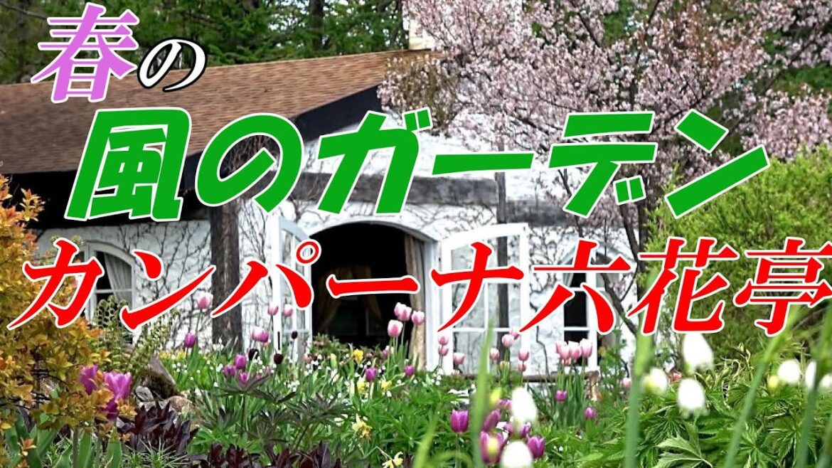【北海道 富良野】５月の「風のガーデン」と「カンパーナ六花亭」４K