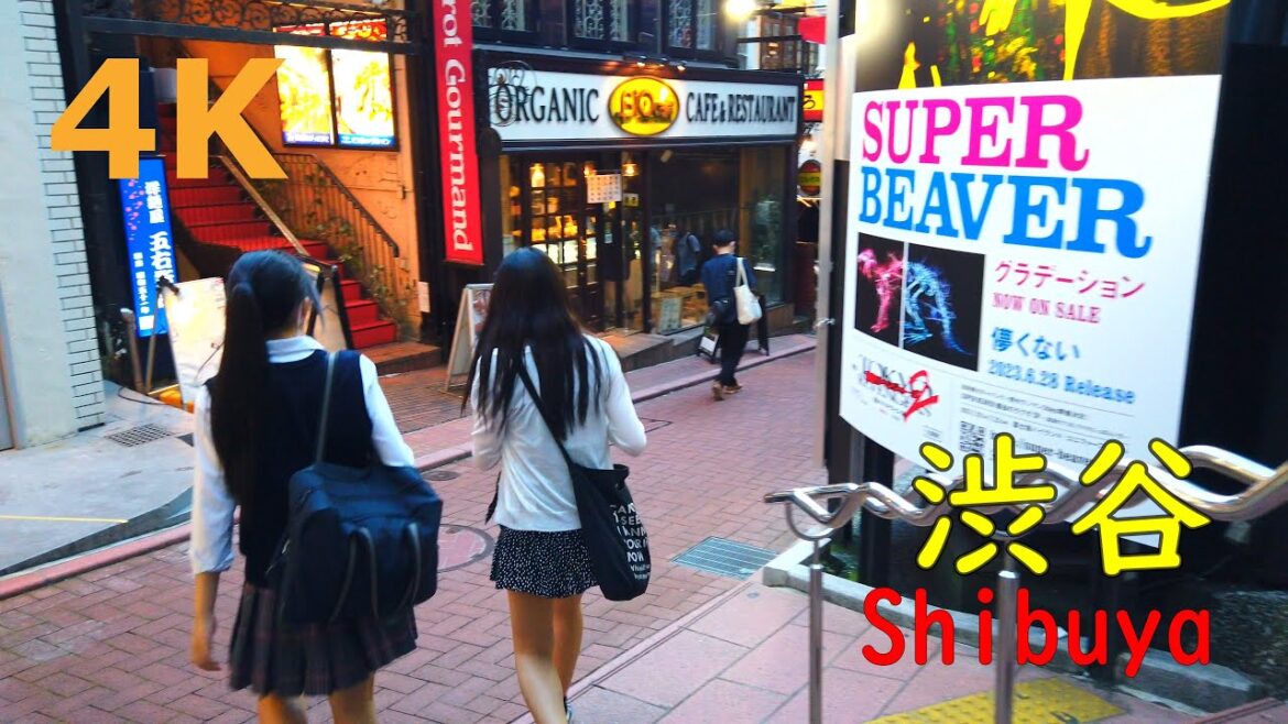 【4k】Tokyo walk-Shibuya🐶渋谷を散歩