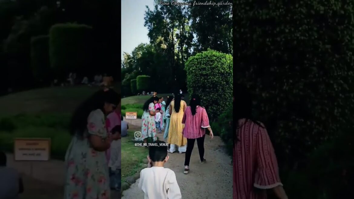 पुणे ओकायामा मैत्री उद्यान #shorts #pune #nature #suzume#reels