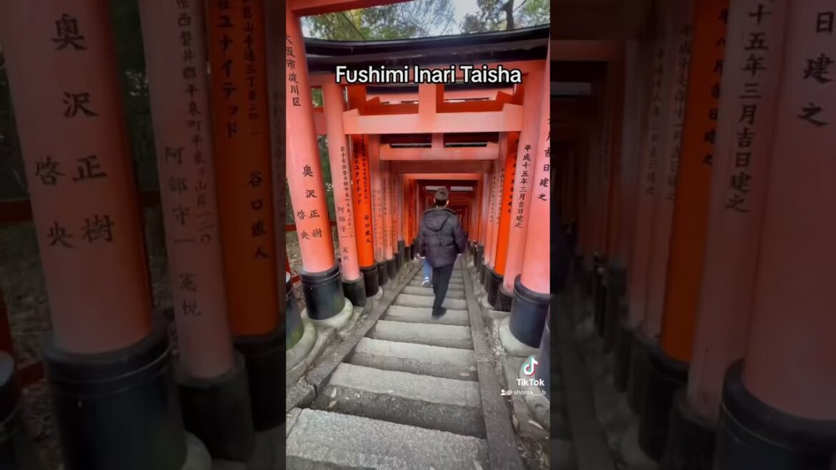 Morning Hike to Fushimi Inari: Unveiling Kyoto's Mystical Trail!
