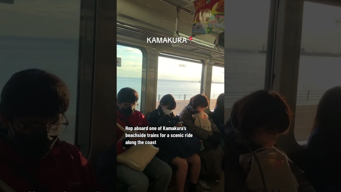 TRAINS BY THE SEA JAPAN #kamakura #slamdunk #train