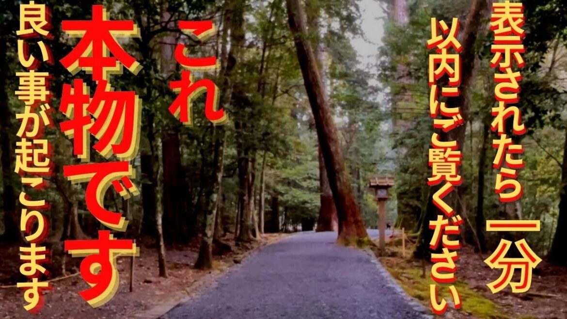 【元伊勢】夏至⚠️神回※もし逃したらニ度とありません※アマテラス様が降臨しました【ゼロ磁場】瀧原宮 【元伊勢】夏至⚠️神回※もし逃したらニ度とありません※アマテラス様が降臨しました【ゼロ磁場】瀧原宮