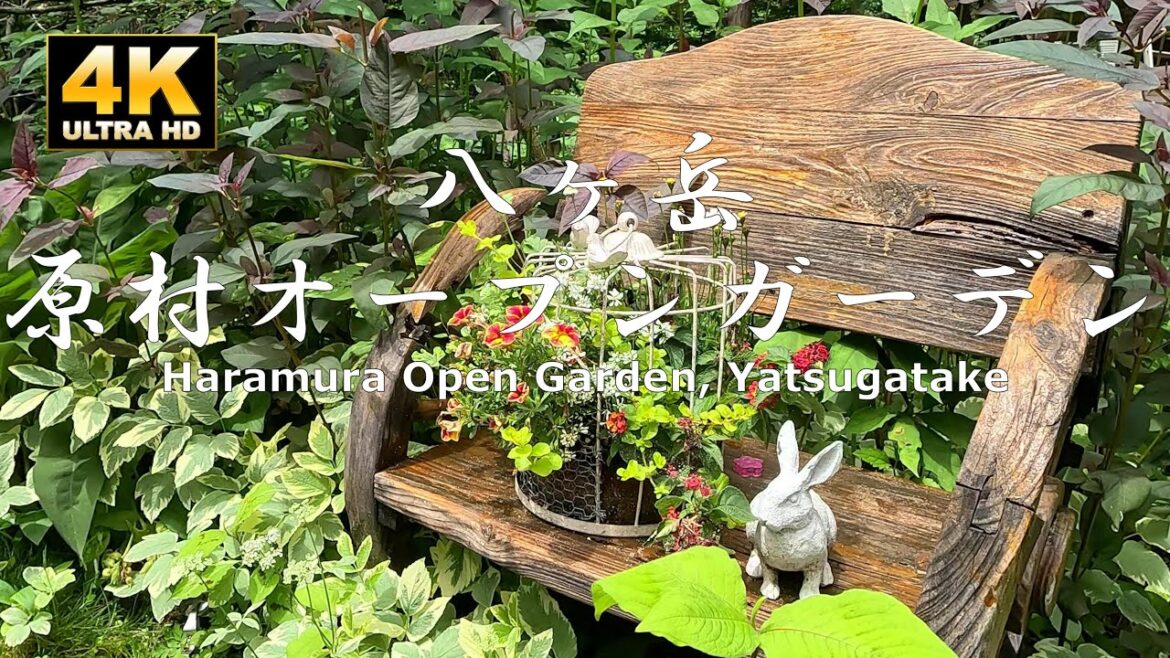八ヶ岳原村オープンガーデン巡り9か所　　2023/6/18　Tour of 9 open gardens in Yatsugatake Haramura Walking Video