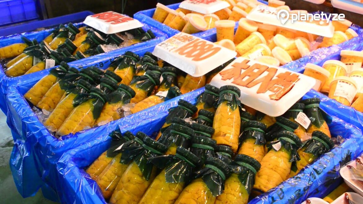 Miyako Fish Market, Iwate | One Minute Japan Travel Guide