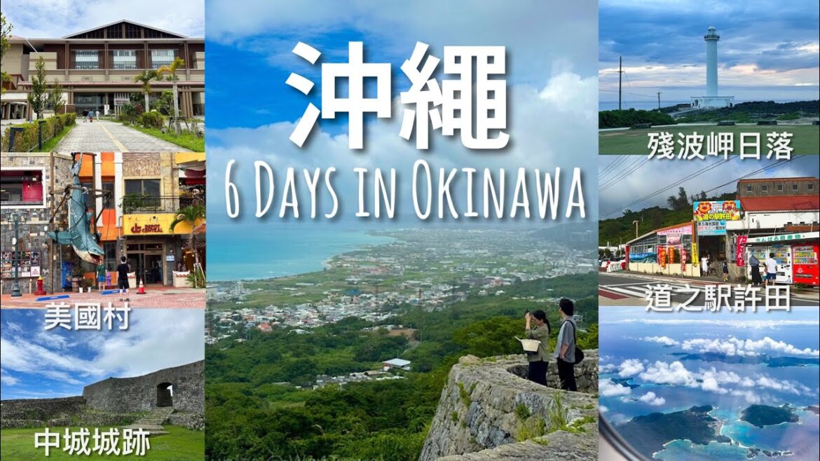 【2023沖繩旅行】6天5夜沖繩自駕遊🚗（上）// 於世界遺產地俯瞰沖繩絕美海岸線｜親親可愛小水豚｜美國村噴火街頭表演｜道の駅許田