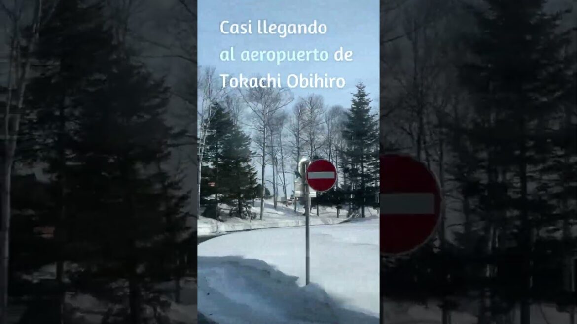 Iré al aeropuerto de Tokachi Obihiro: Hokkaido, Japón #shorts