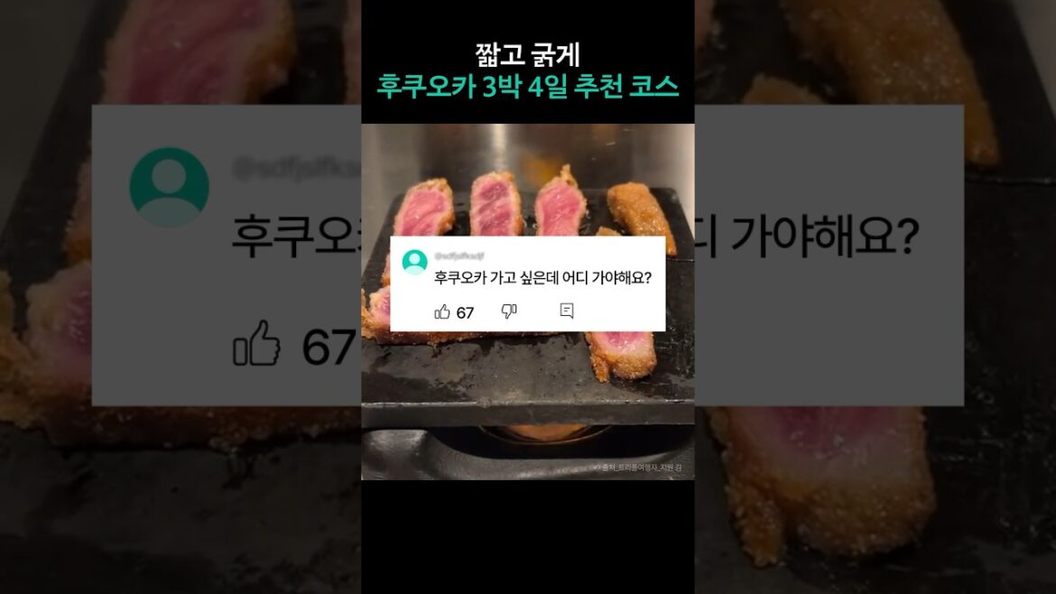 후쿠오카 여행이 고민이라면? 당장 클릭하세요! #shorts #쇼츠