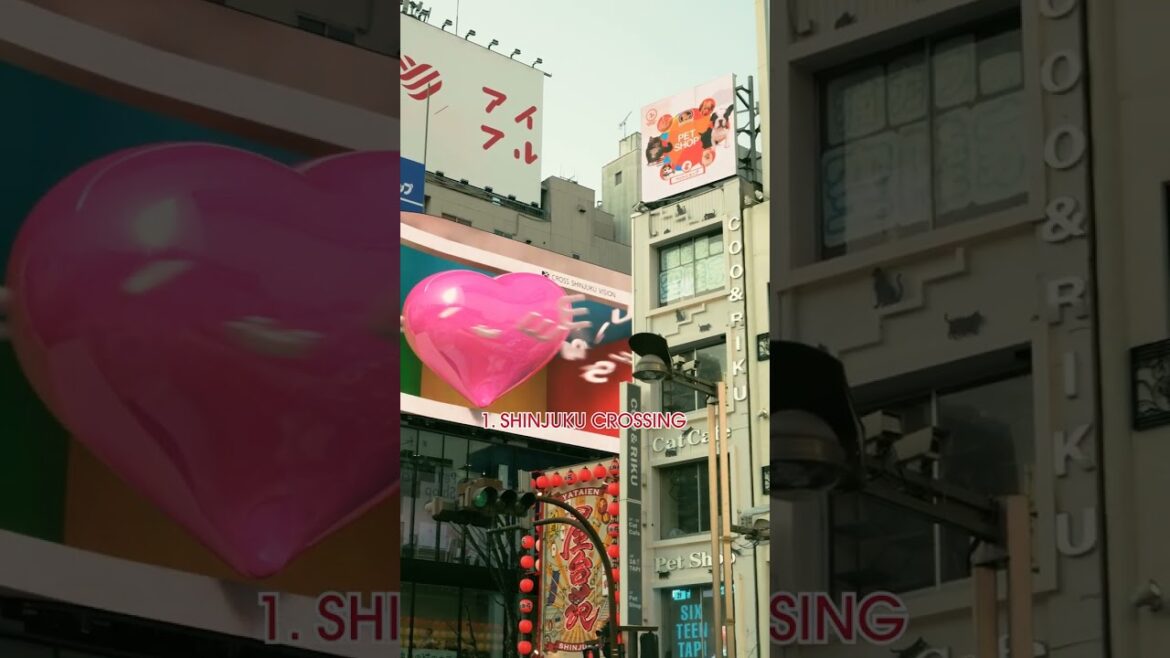 Top 3 places to visit in Shinjuku! #shorts #ytshorts #japan #tokyo #shinjuku #travel #fyp