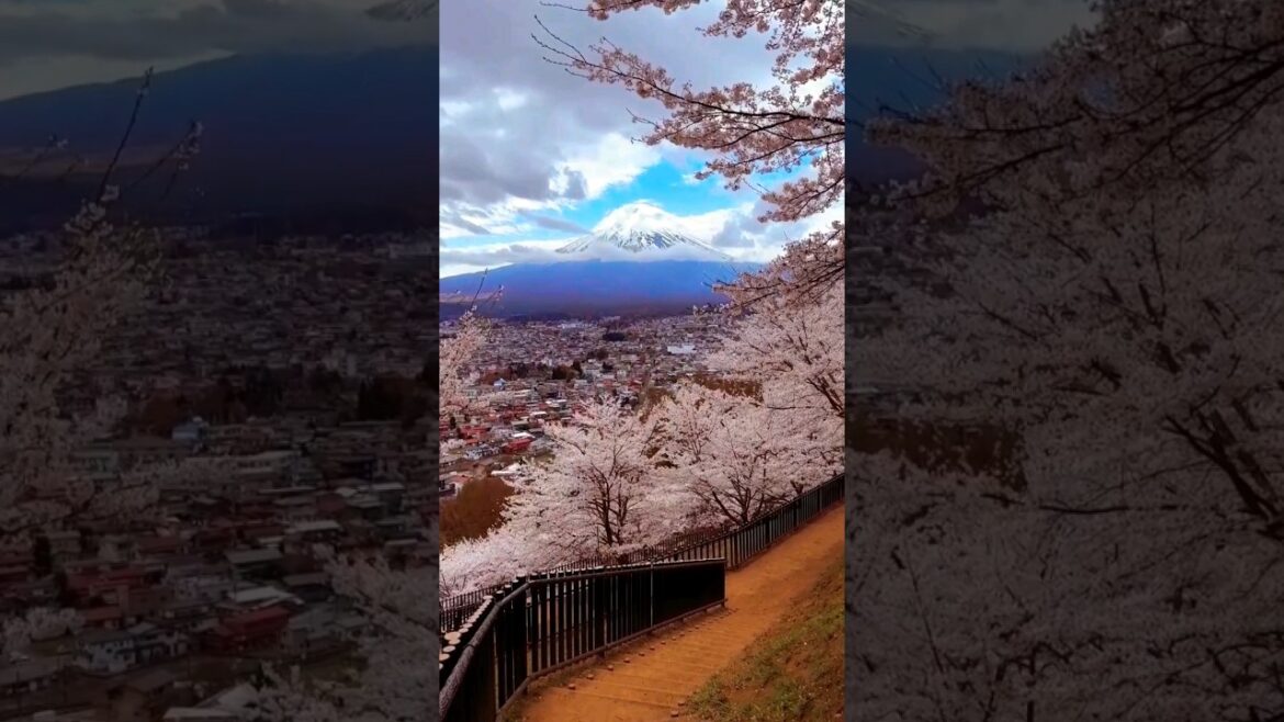 Japan’s Top 5 Scenic Locations to Visit ❤️ #youtubeshorts #short Japan's Top 5 Scenic Locations to Visit ❤️ #youtubeshorts #short