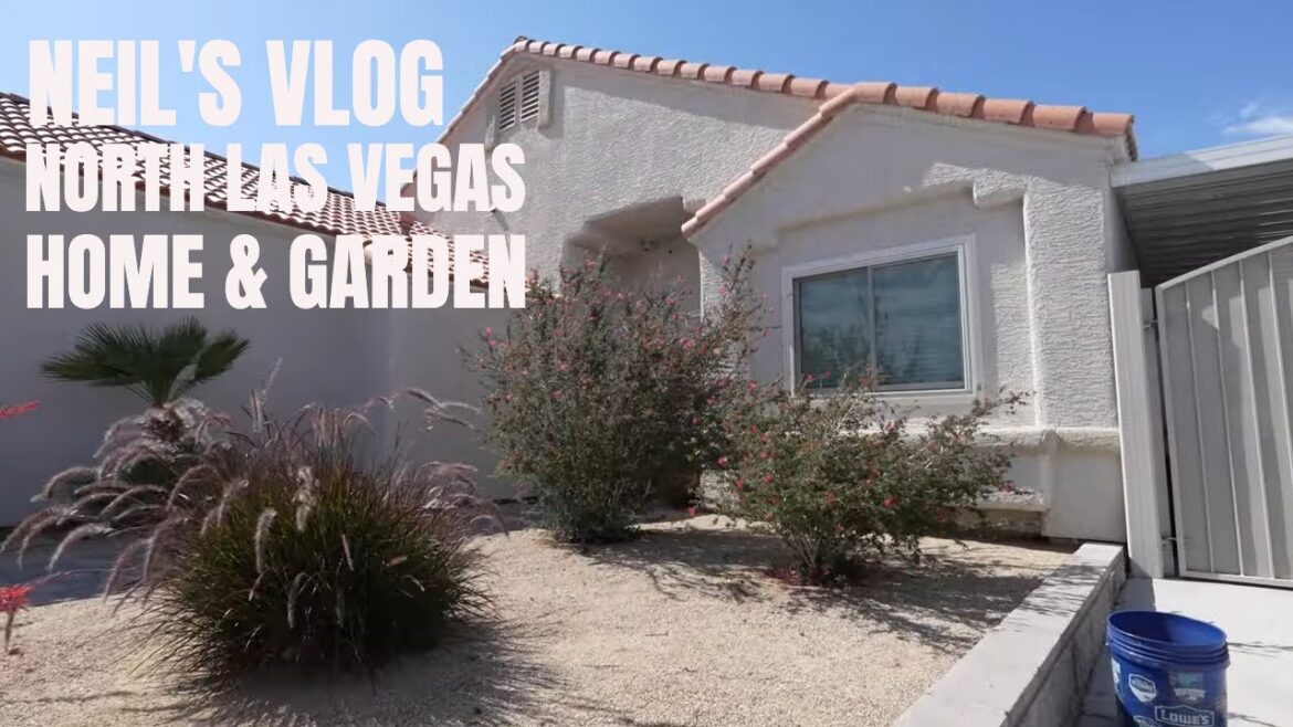 20230512 A North Las Vegas home and garden! 20230512 A North Las Vegas home and garden!