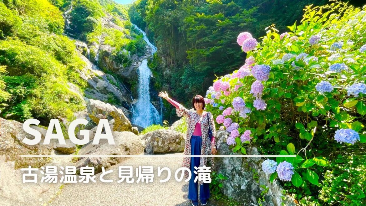 【古湯温泉】佐賀県唐津市 見帰りの滝であじさい観賞/ONCRI おんくりで温泉とランチ/手毬御膳と佐賀県産金星佐賀豚陶板焼き/佐賀旅・佐賀観光スポット・佐賀グルメ/ kyushu  SAGA 日帰り 【古湯温泉】佐賀県唐津市 見帰りの滝であじさい観賞/ONCRI おんくりで温泉とランチ/手毬御膳と佐賀県産金星佐賀豚陶板焼き/佐賀旅・佐賀観光スポット・佐賀グルメ/ kyushu  SAGA 日帰り