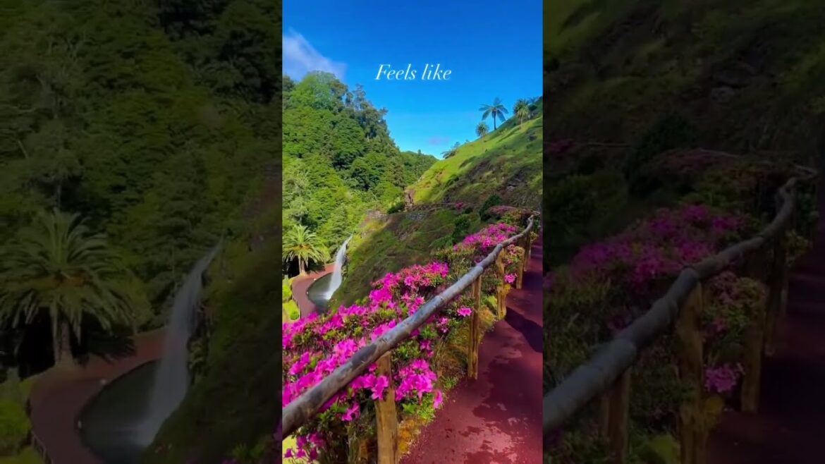 🌿🌵Probably the most beautiful park I’ve ever been to! 🌸