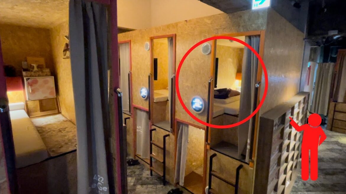 【無料サービス充実】まるで秘密基地の木のぬくもりに包まれたカプセルホテル😴🛏羽田空港から近くて便利なイージーステイ蒲田