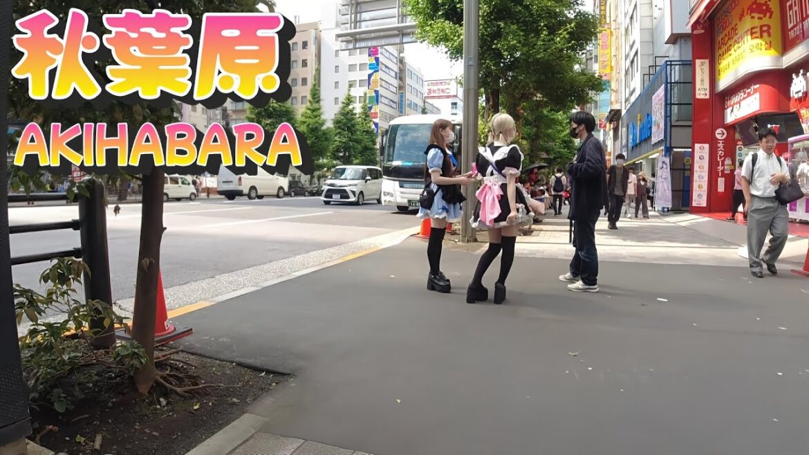【秋葉原 散歩】東京  秋葉原  電気街 メイド通りを歩く｜Akihabara in Tokyo🍋