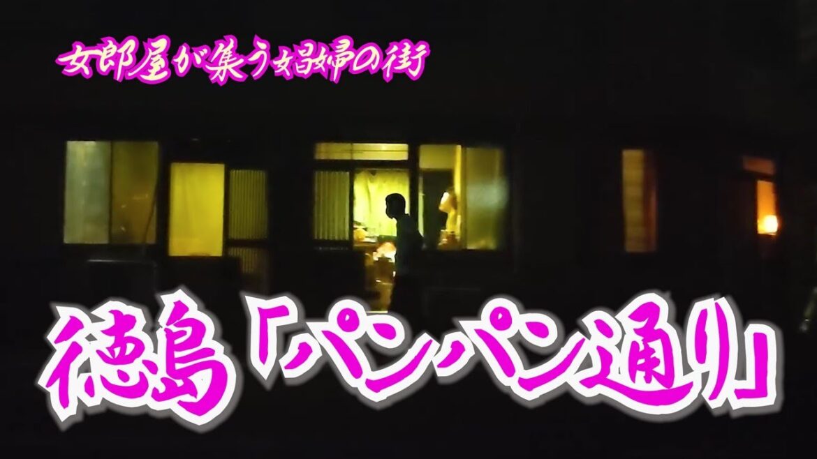 【徳島・秋田町】〝女郎屋〟と呼ばれる赤色灯が残る街  [Tokushima] A town with red lights called `Jyoroya` prostitutes ''