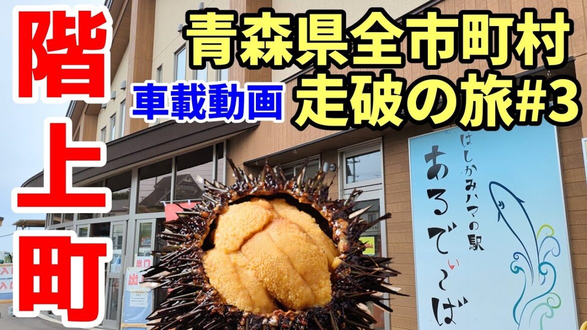 【車載動画3】青森県階上町街並みグルメ観光地をドライブしてみた 蒼前~道の駅はしかみ~役場~道仏~階上駅~大蛇~あるで~ば 4K ドライブ 東北旅行 スマホ Date : 2023-6-22 【車載動画3】青森県階上町街並みグルメ観光地をドライブしてみた 蒼前~道の駅はしかみ~役場~道仏~階上駅~大蛇~あるで~ば 4K ドライブ 東北旅行 スマホ Date : 2023-6-22