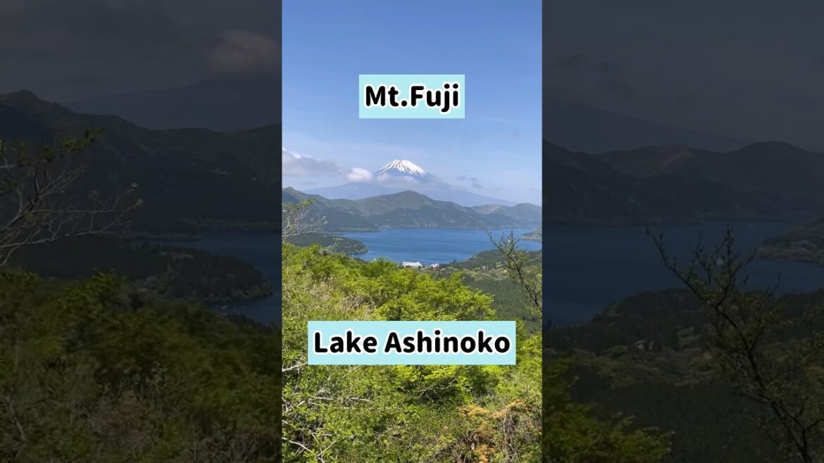 Mt.Fuji and Lake Ashinoko from Hakone,Japan. #shorts