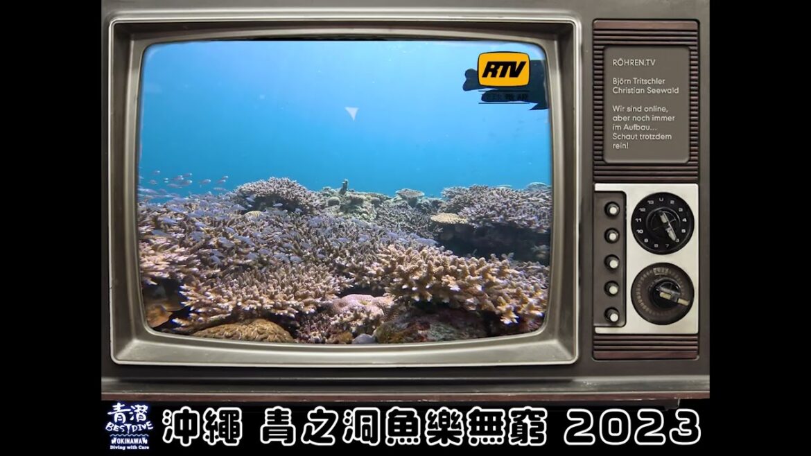 【沖繩青之洞】 #魚樂無窮 都要與時並進… 電話版! #沖繩青之洞 (警告我自己都睇唔完)