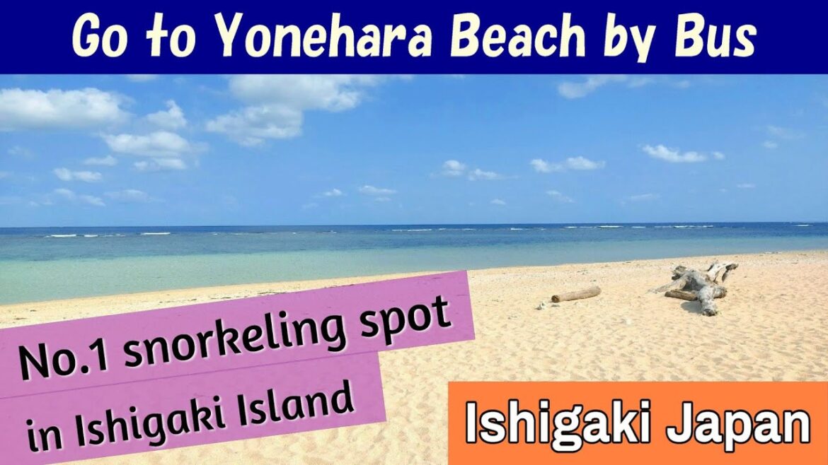 [Ishigaki Okinawa Japan] Go to Yonehara Beach by bus