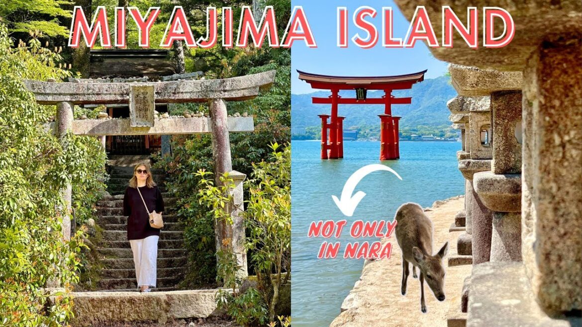 Japan’s Deer Island: Miyajima in a Day | Silent Walking Tour in 4K | Experience Japan Japan's Deer Island: Miyajima in a Day | Silent Walking Tour in 4K | Experience Japan