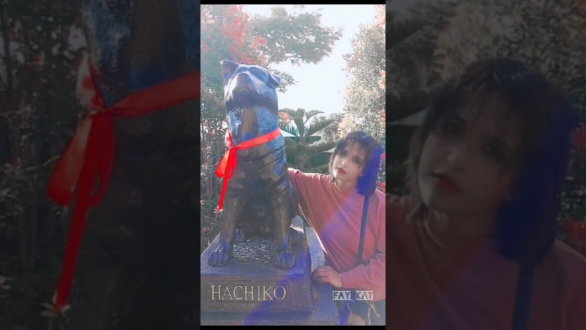 Blog 1 🌟|| Sachiko's Little Kyoto || Philippines|| PART 4