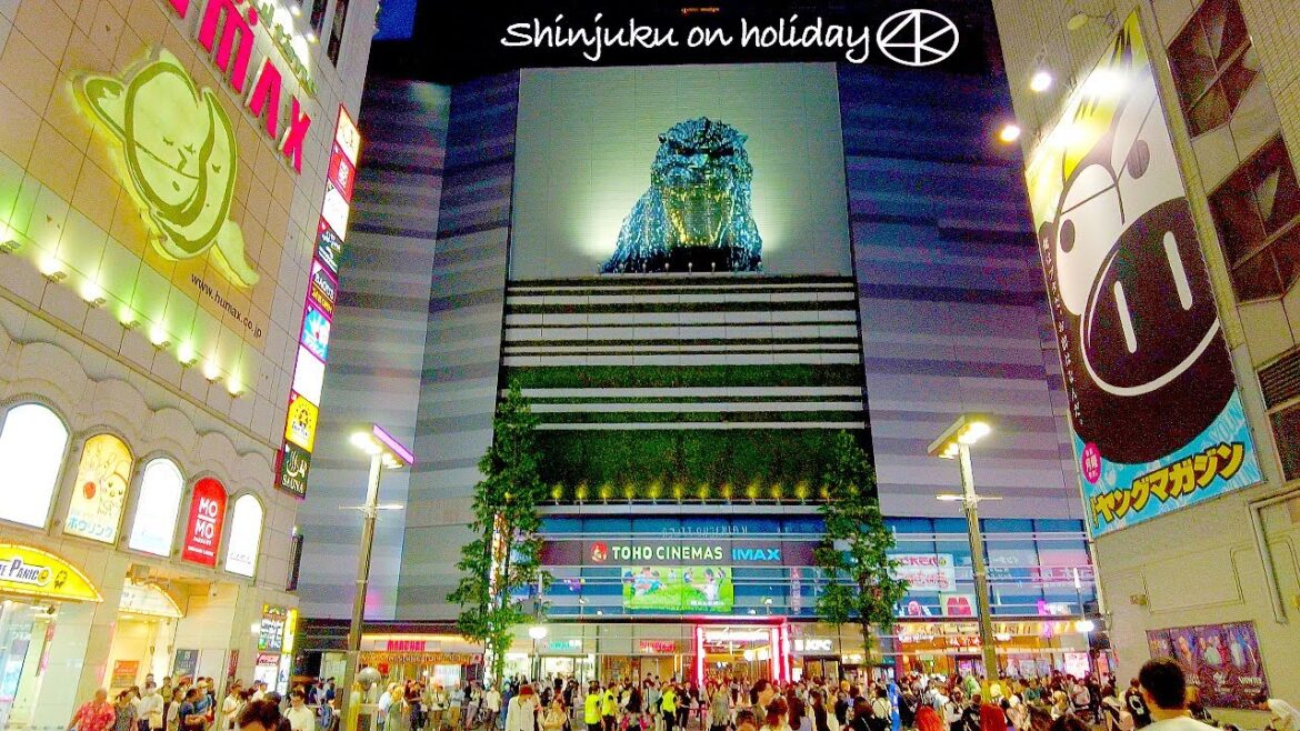 4K【新宿の夜迷宮】新宿通りから歌舞伎町へ 2023 東京 Japan