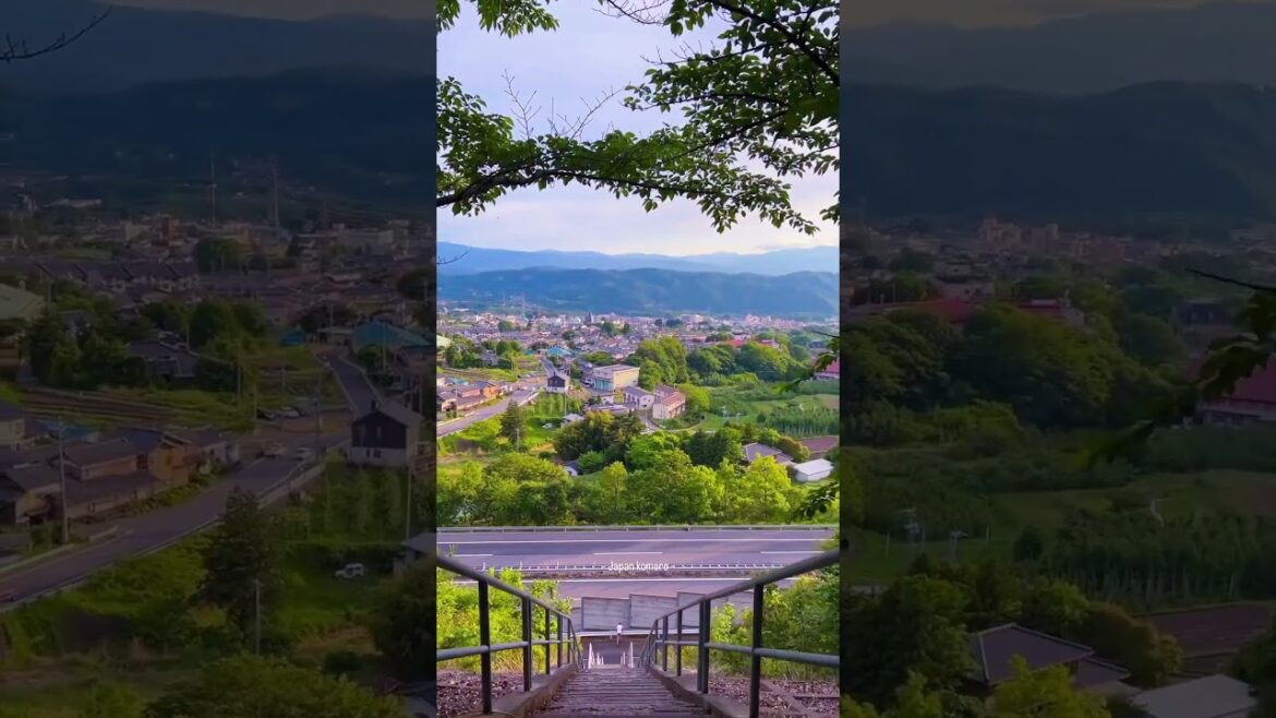 Japan Komoro | Torii Wisphers #japan #kyoto #japanvlog #japantravel #japaneseculture #japantrip