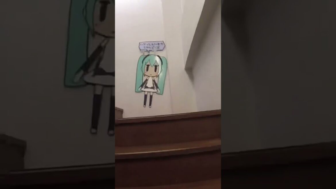 Come Shopping with Me! Kukusai Street Edition #lifestyle #japan #okinawa #kawaii #miku #dragonball Come Shopping with Me! Kukusai Street Edition #lifestyle #japan #okinawa #kawaii #miku #dragonball