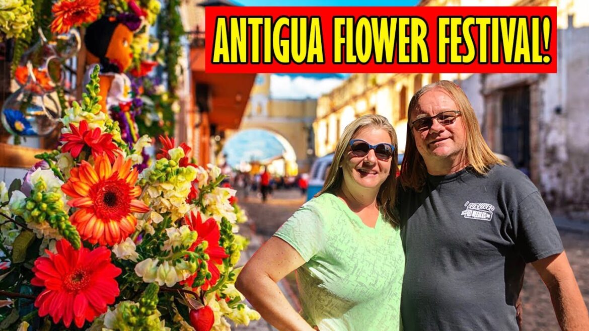 Antigua Guatemala Flower Festival! Antigua Guatemala Flower Festival!