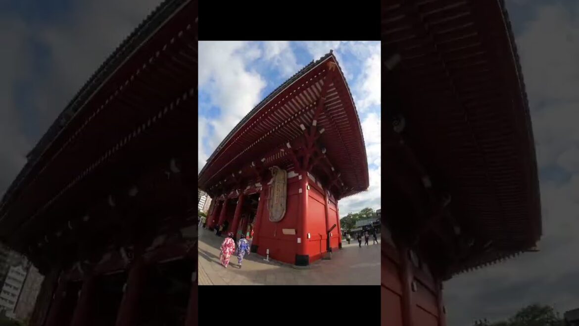 疾走感のある曲なら何でも合うんじゃないか2023【会心の一撃/RADWIMPS】 #vlog #gopro #japan #travel