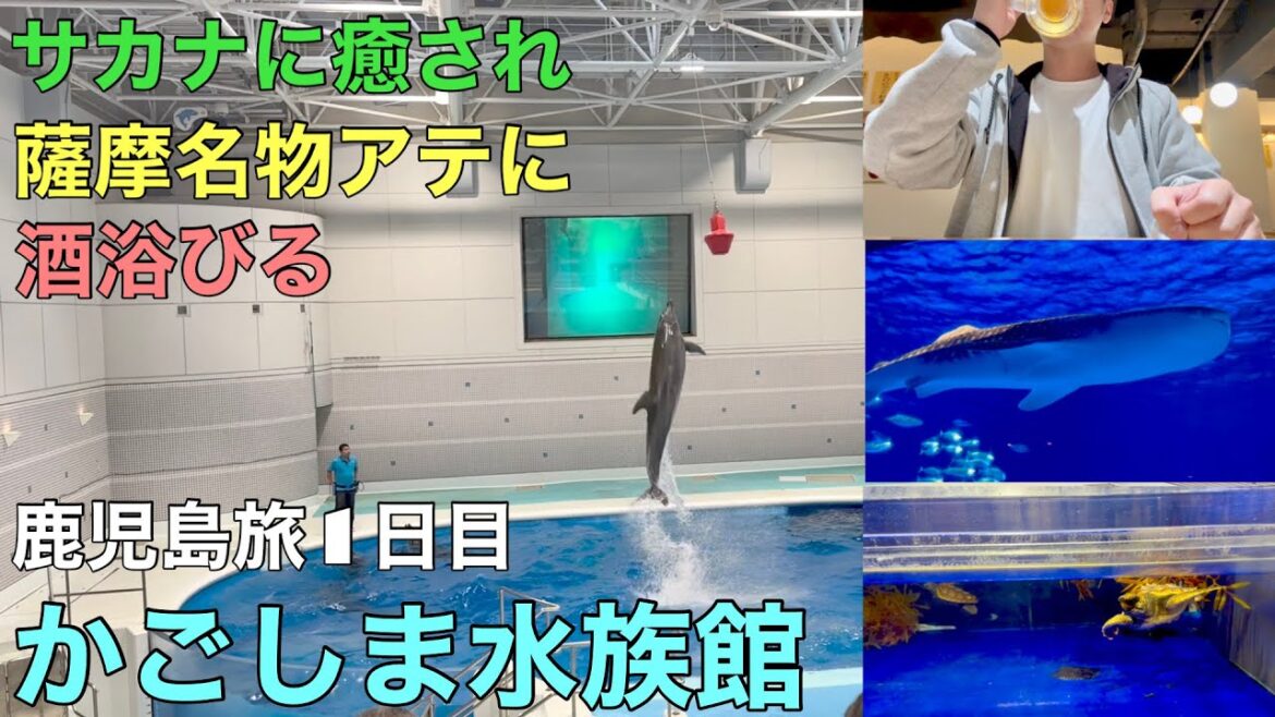 [白い杖と水族館]水族館で心癒され→薩摩名物で酒浴びる。鹿児島旅1日目