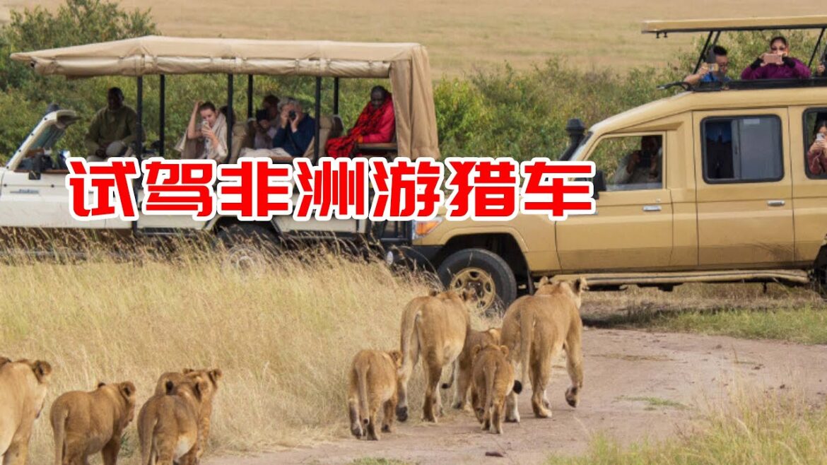 试驾非洲草原游猎车，完全没想到，这辆车居然有30多年了