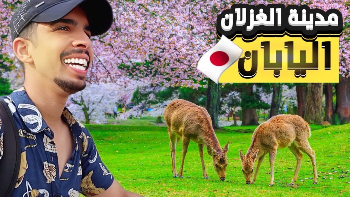 لن تصدق وجود هذه المدينة في اليابان | Nara Japan 🇯🇵 لن تصدق وجود هذه المدينة في اليابان | Nara Japan 🇯🇵