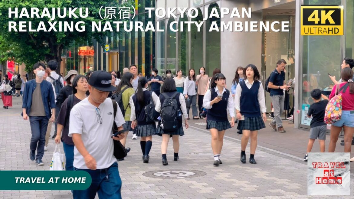 4k hdr japan travel | Walk in Harajuku（原宿）Tokyo japan |  Relaxing Natural City ambience
