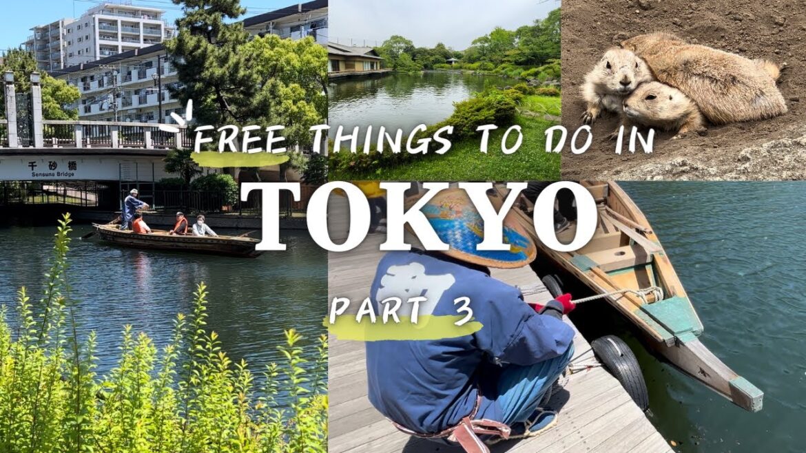 5 Free things you can do in Tokyo Part 3🛶Walking in oldtown Tokyo 5 Free things you can do in Tokyo Part 3🛶Walking in oldtown Tokyo