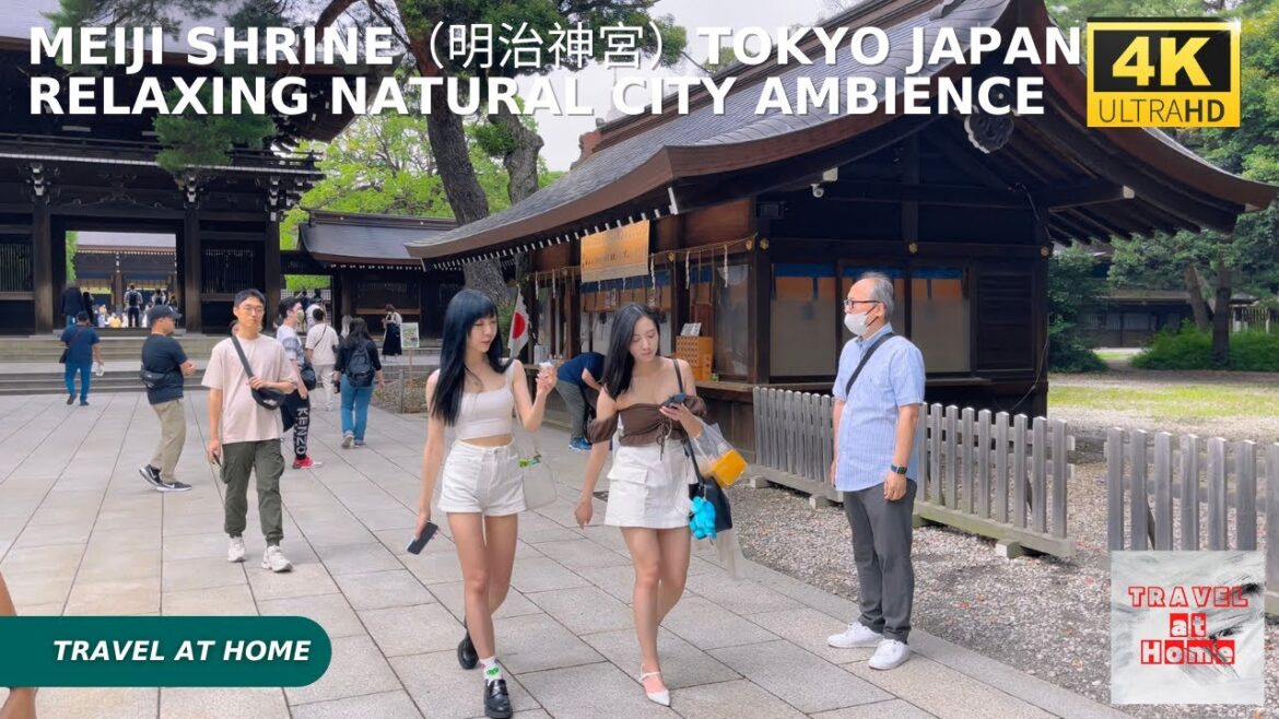 4k hdr japan travel | Walk in Meiji Shrine（明治神宮）Tokyo japan |  Relaxing Natural City ambience