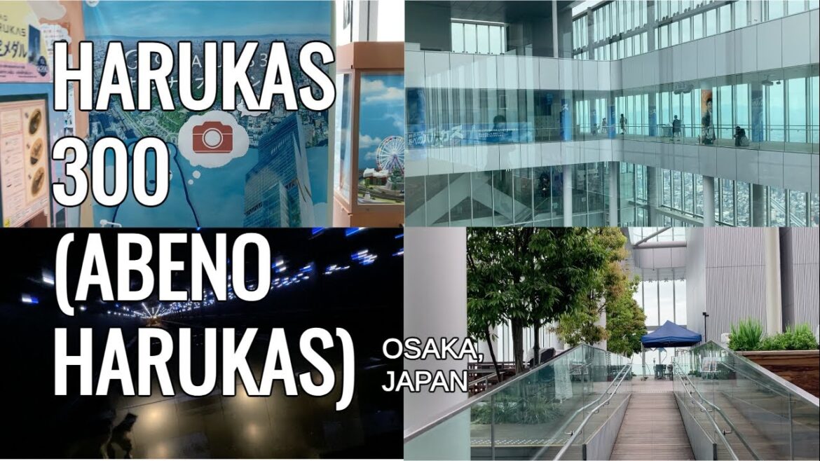 HARUKAS 300 (ABENO HARUKAS) #osaka #japan #harukas300 #abenoHarukas #TaraAnythingGoes