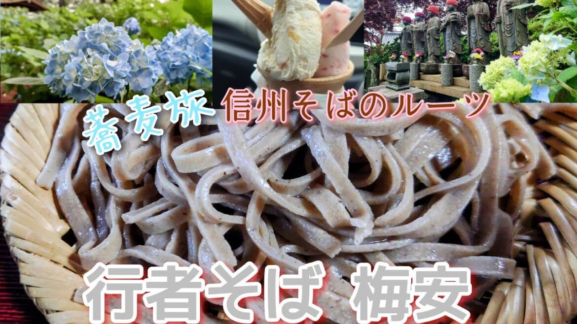 蕎麦旅、信州そばのルーツ「行者そば 梅安」編 長野県伊那市 蕎麦旅、信州そばのルーツ「行者そば 梅安」編 長野県伊那市