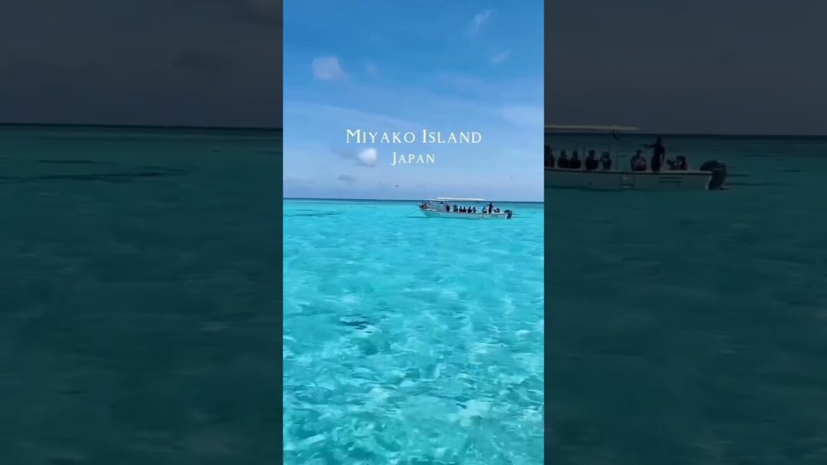 Miyako Island, Okinawa, Japan 🇯🇵 #shorts #fyp #foryou #edit #viral