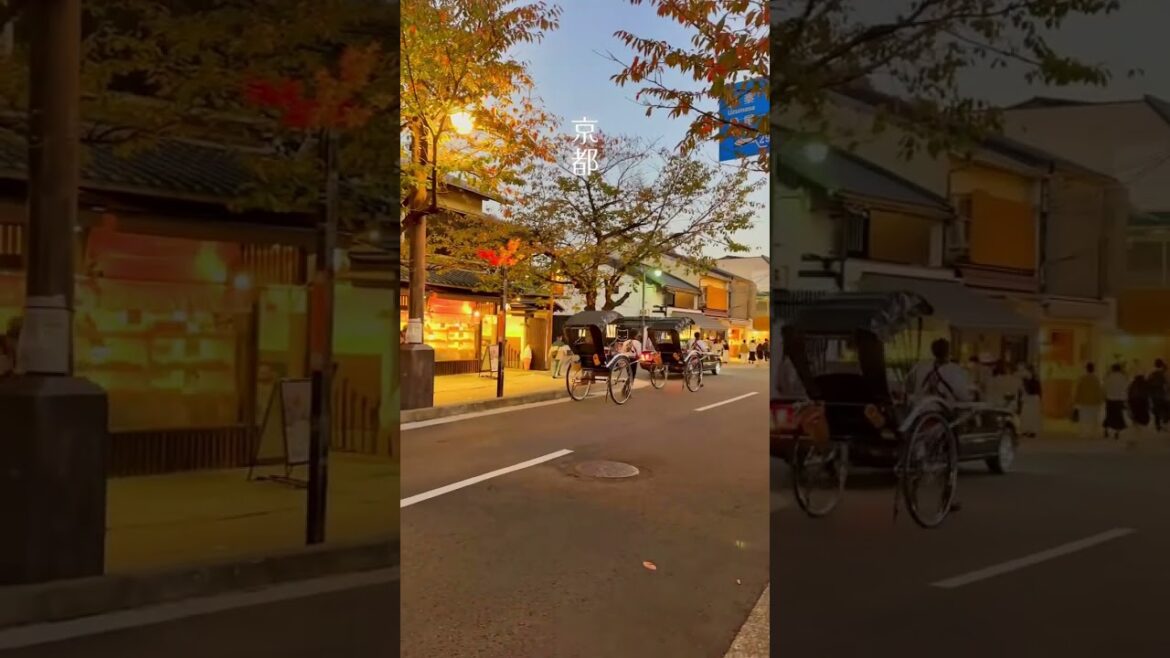 Hidden Gems of Japan: Unveiling the Most Enchanting and Underrated Destinations! Hidden Gems of Japan: Unveiling the Most Enchanting and Underrated Destinations!