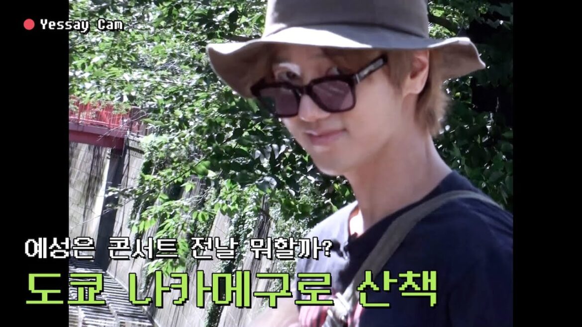 일본에 수없이 다녀온 슈주 예성이 추천하는 도쿄 나카메구로 산책|일본 여행 브이로그|예세이 EP.22 일본에 수없이 다녀온 슈주 예성이 추천하는 도쿄 나카메구로 산책|일본 여행 브이로그|예세이 EP.22